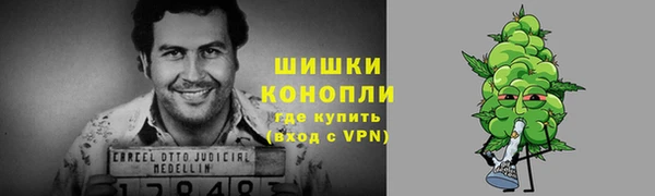 прущие грибы Абаза