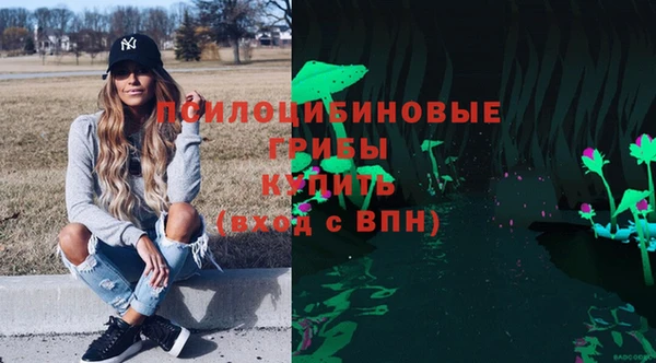 прущие грибы Абаза
