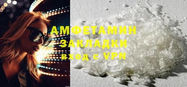 прущие грибы Абаза