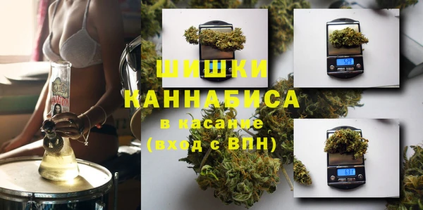 прущие грибы Абаза