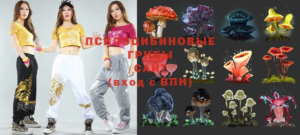 прущие грибы Абаза