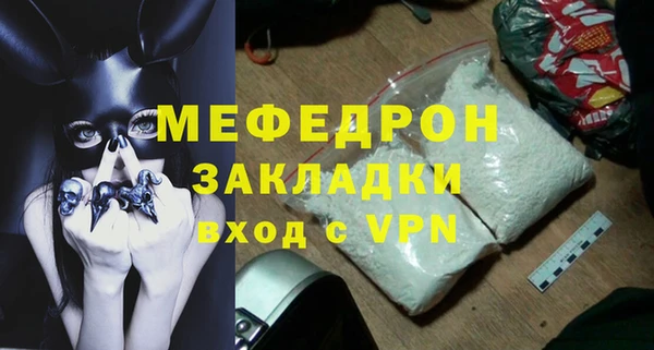 прущие грибы Абаза