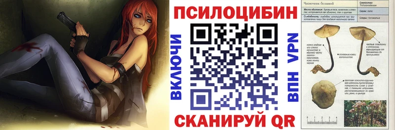 мега вход  Алдан  Псилоцибиновые грибы GOLDEN TEACHER 